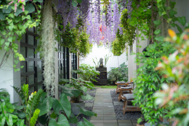 Tranquil Pathways
